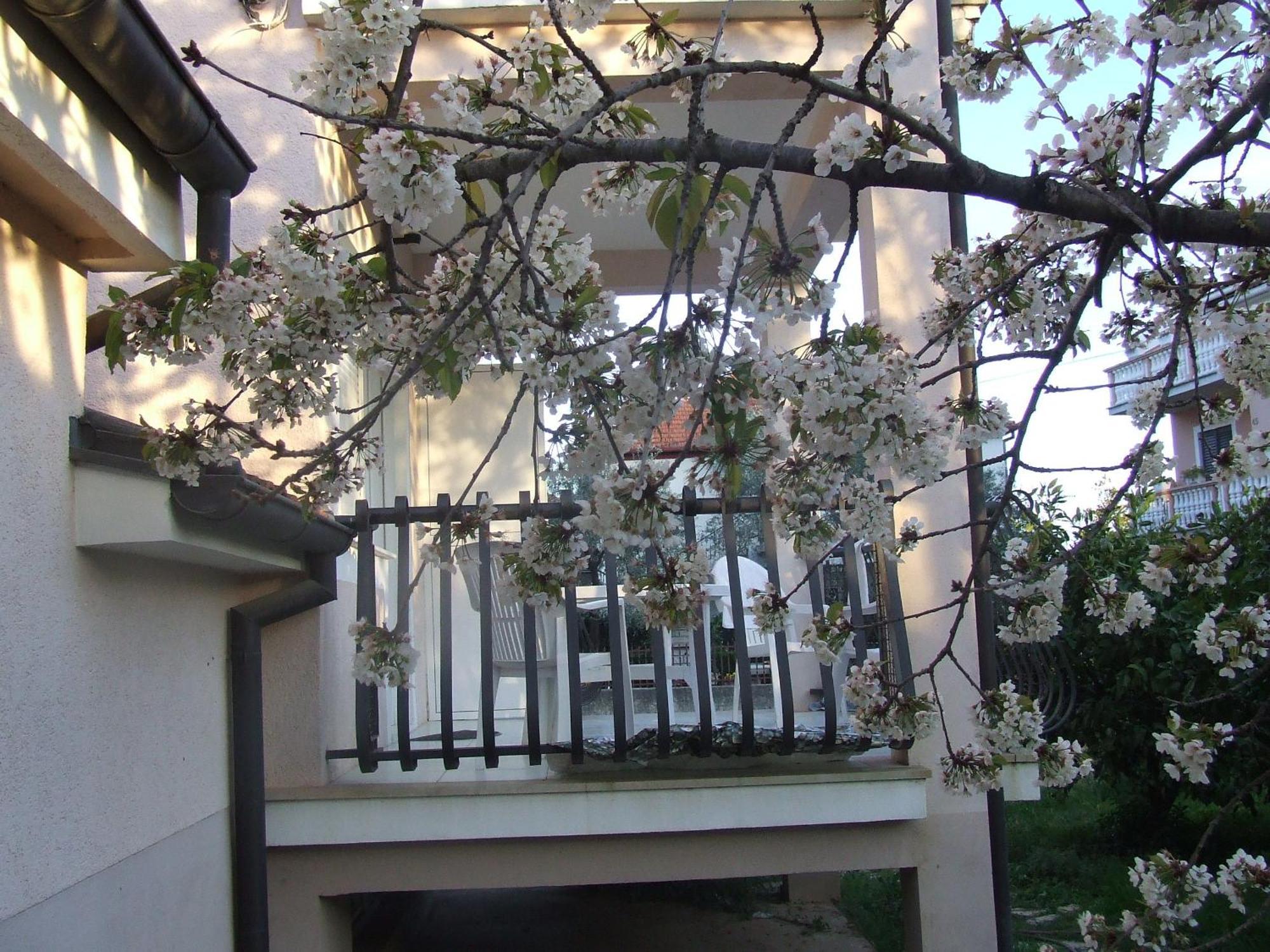 Villa Dalmatia 자다르 객실 사진